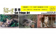 20 Serious Years - Wu Yi-Ping Cats Photography Symposium