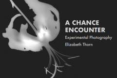 A Chance Encounter – Experimental Photography by Elizabeth Thorn