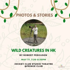 Photos and Stories of Wildcreatures in Hong Kong