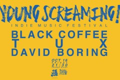 THE VOID NOIZE presents | YOUNG SCREAMING Vol. 3