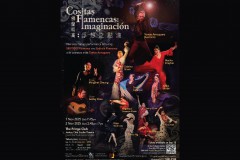 佛兰明高：浮想之点滴